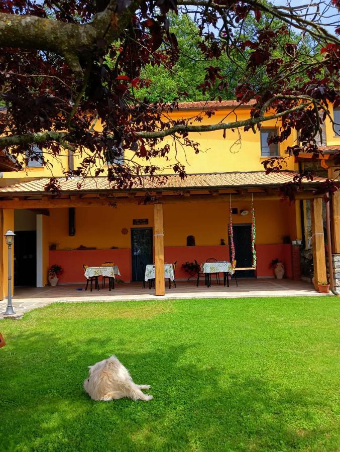 Terra Del Bosco Agriturismo Sesta Godano Eksteriør billede