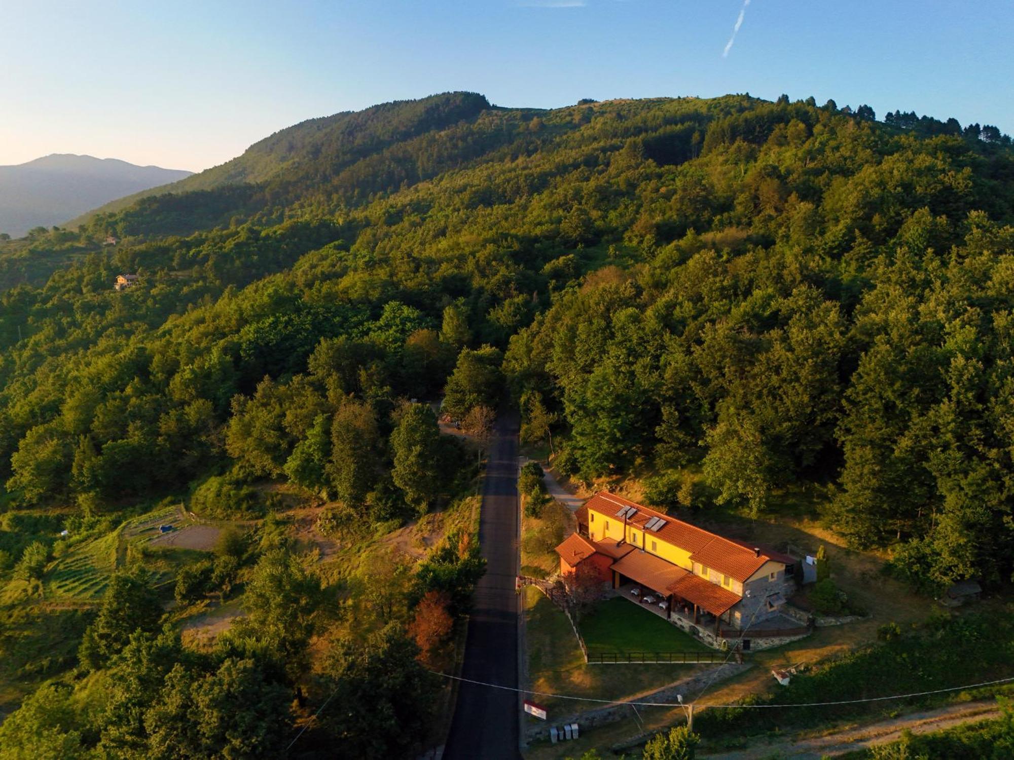 Terra Del Bosco Agriturismo Sesta Godano Eksteriør billede
