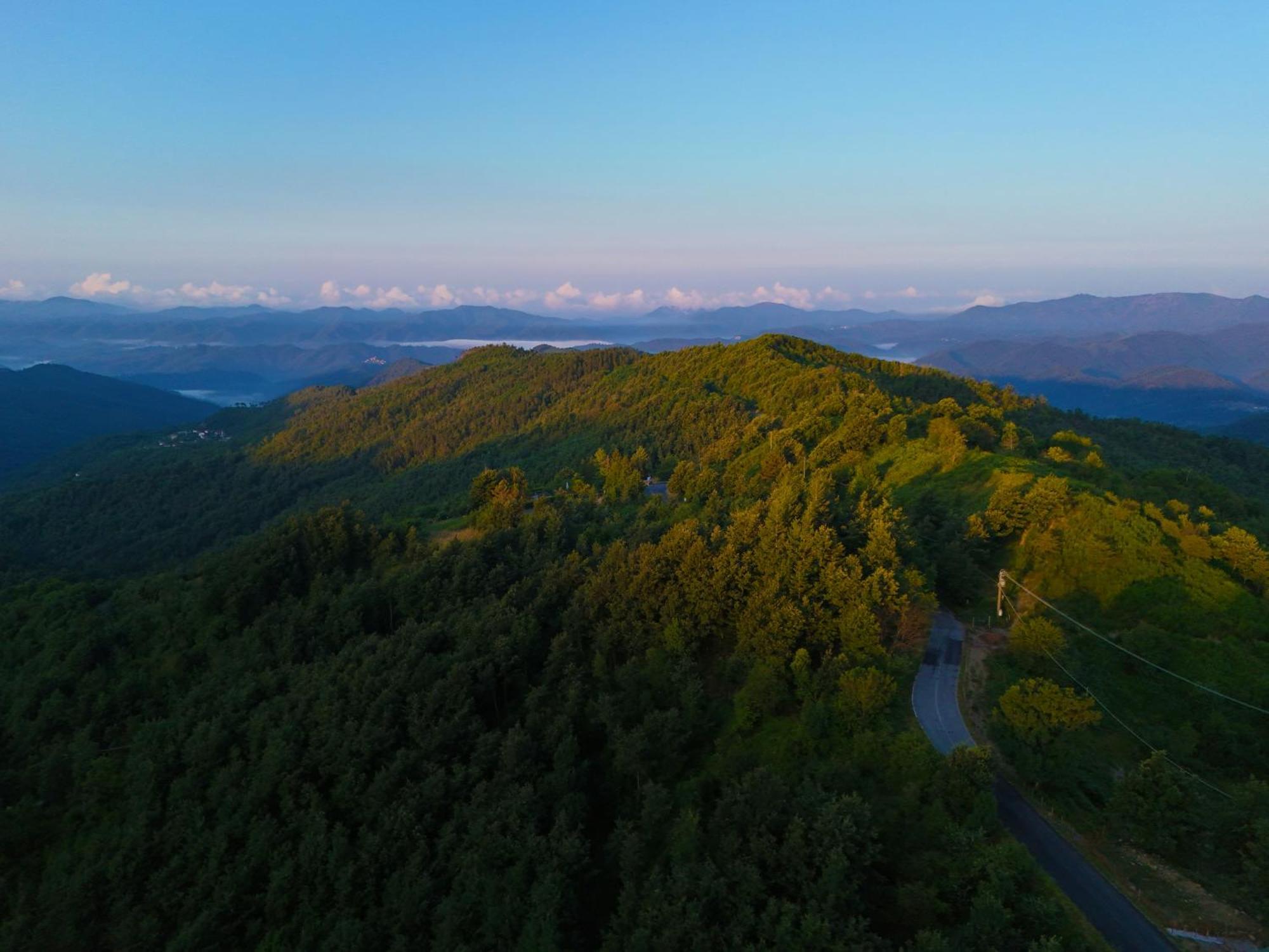 Terra Del Bosco Agriturismo Sesta Godano Eksteriør billede