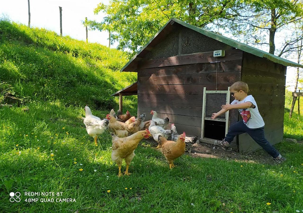 Terra Del Bosco Agriturismo Sesta Godano Eksteriør billede